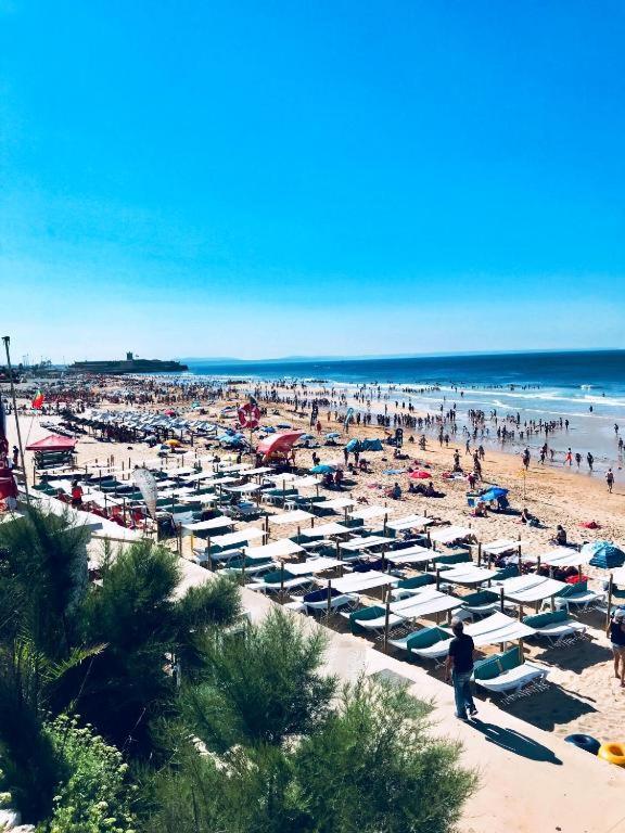 Beachome4U2 كاركافيلو المظهر الخارجي الصورة